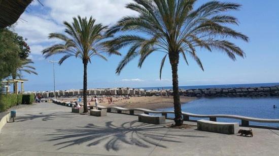 Casa Ventura Villa Arco da Calheta  Ngoại thất bức ảnh