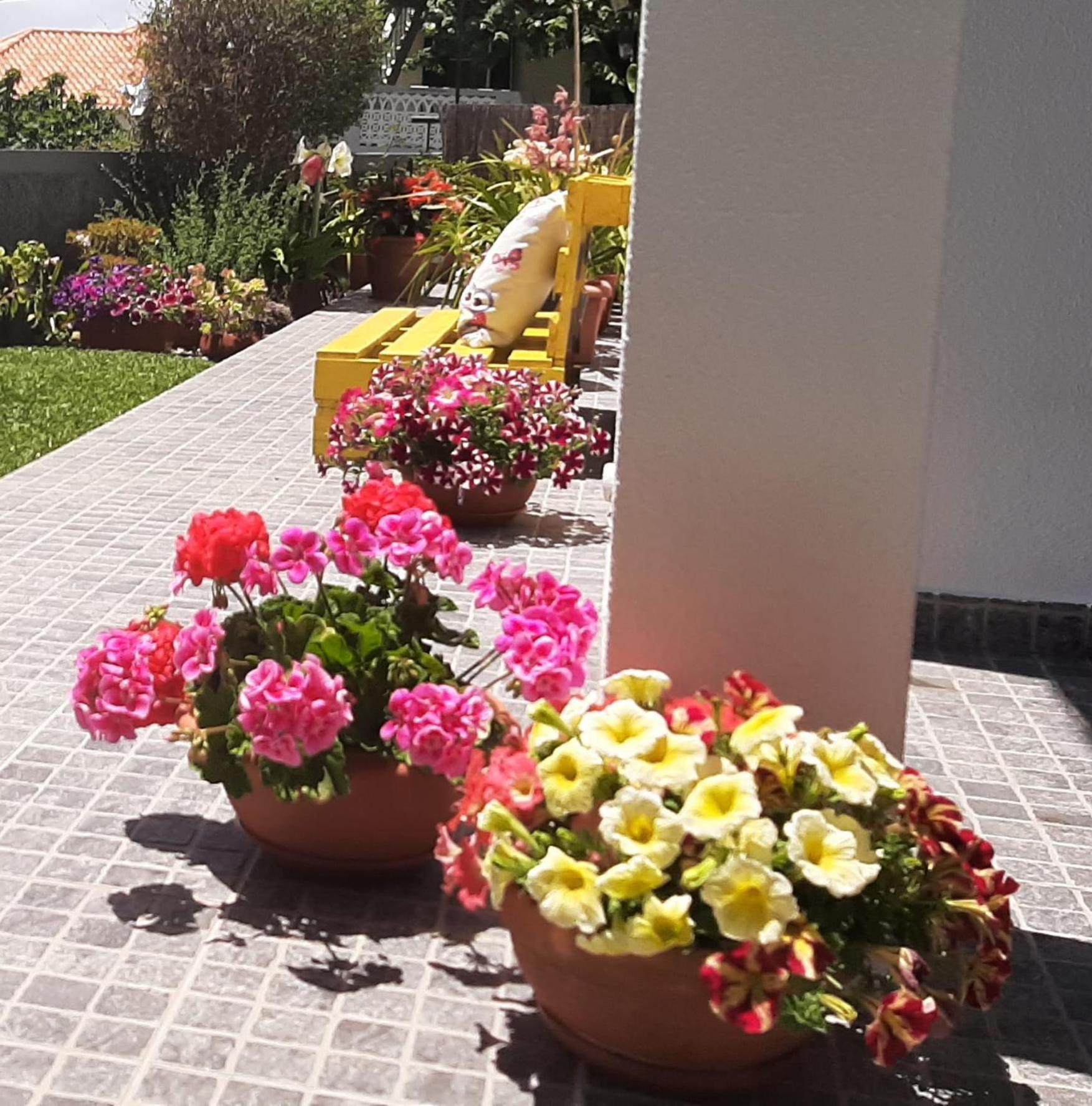 Casa Ventura Villa Arco da Calheta  Ngoại thất bức ảnh