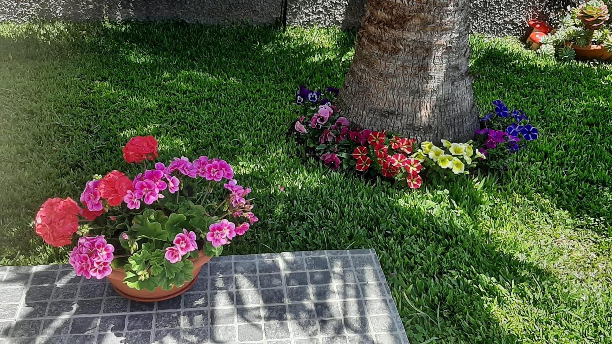 Casa Ventura Villa Arco da Calheta  Ngoại thất bức ảnh